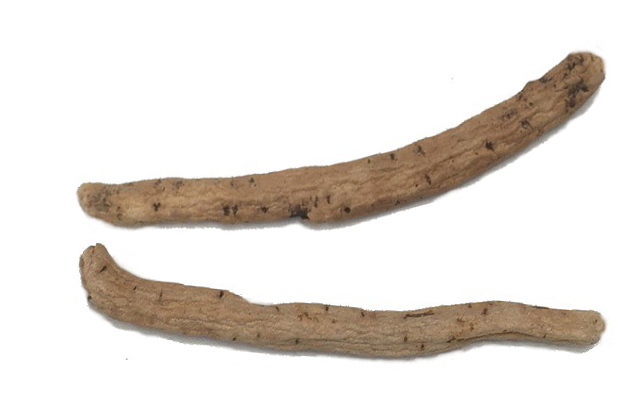 桂枝茯苓丸の生薬の芍薬